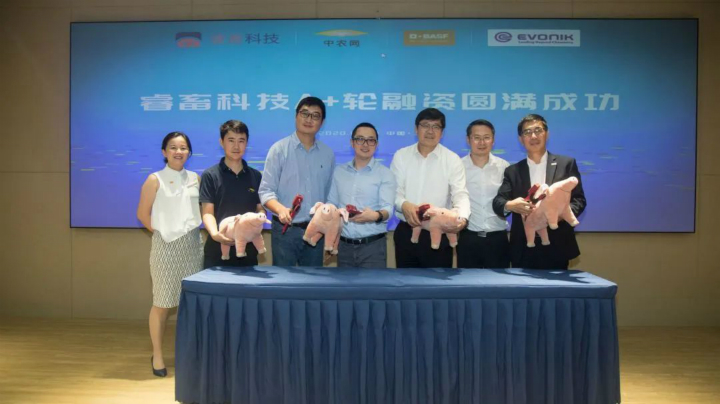 &#20048;&#31454;&#23448;&#32593;&#45;&#20048;&#31454;&#40;&#20013;&#22269;&#41;&#19968;&#31449;&#24335;&#20307;&#32946;&#26381;&#21153;